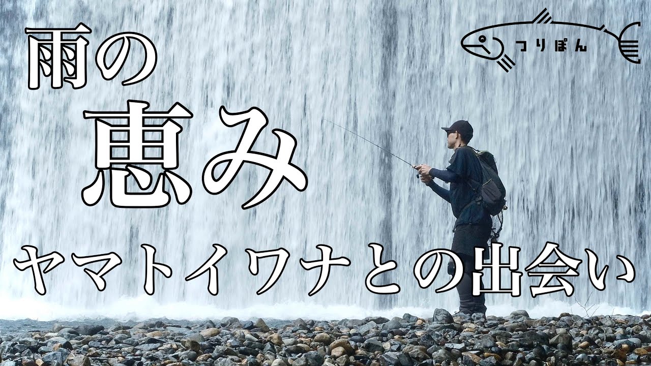 【雨の恵み】ヤマトイワナとの出会い【渓流釣り】