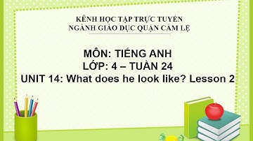 TIẾNG ANH LỚP 4 - TUẦN 24 - UNIT 14: WHAT DOES HE LOOK LIKE? LESSON 2