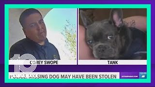Police: Missing dog may have been stolen