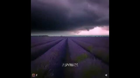 سورة الناس بصوت القارئ ناصر بن يعقوب الذوادي