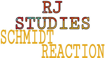 Schmidt Reaction Organic Chemistry