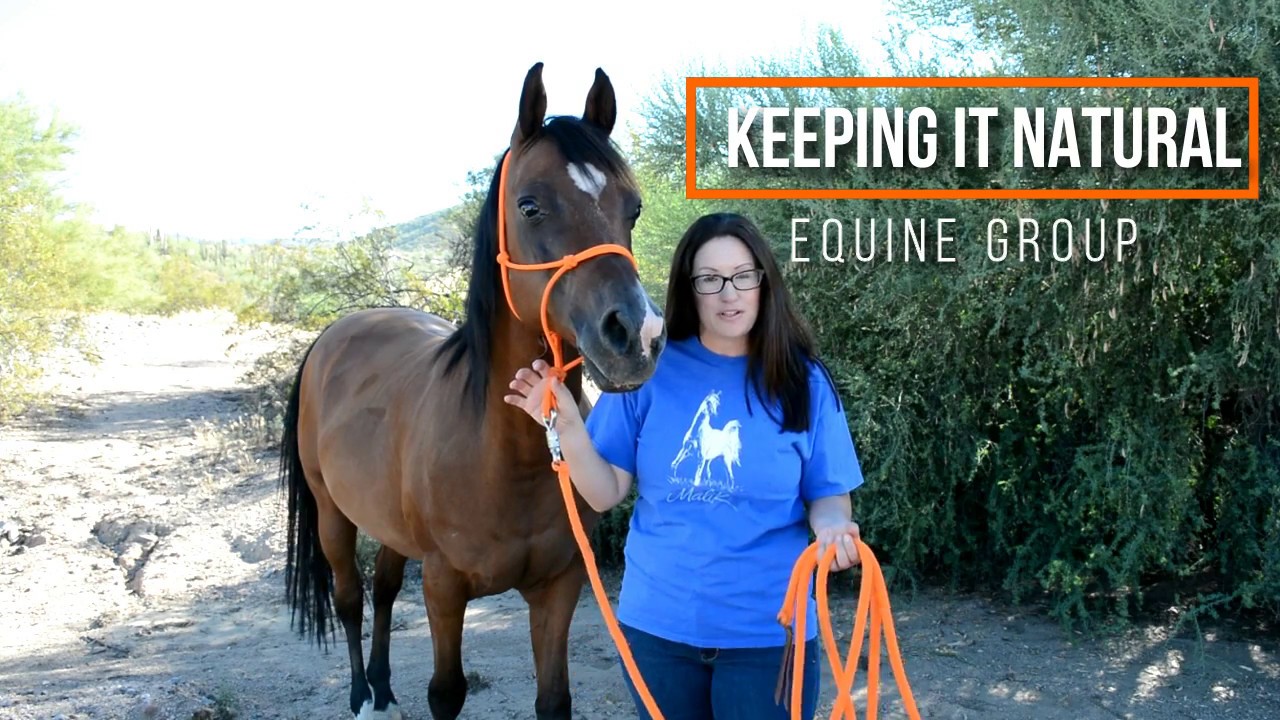 Welcome to Keeping It Natural (KiN) - Equine Community
