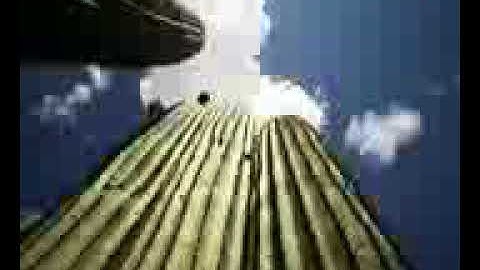 سورة الزمر بصوت الشيخ ماهر المعيقلي