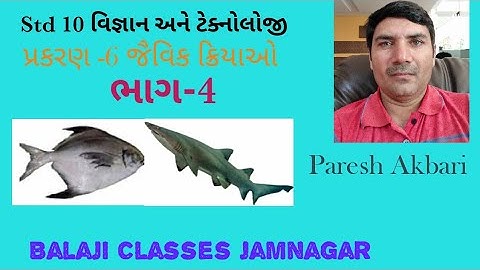 ધોરણ 10 વિજ્ઞાન  પાઠ  6 ભાગ 4 જૈવિક ક્રિયાઓ std 10 sci ch 6 jaivik kriyao dhoran10 path 6 vignan