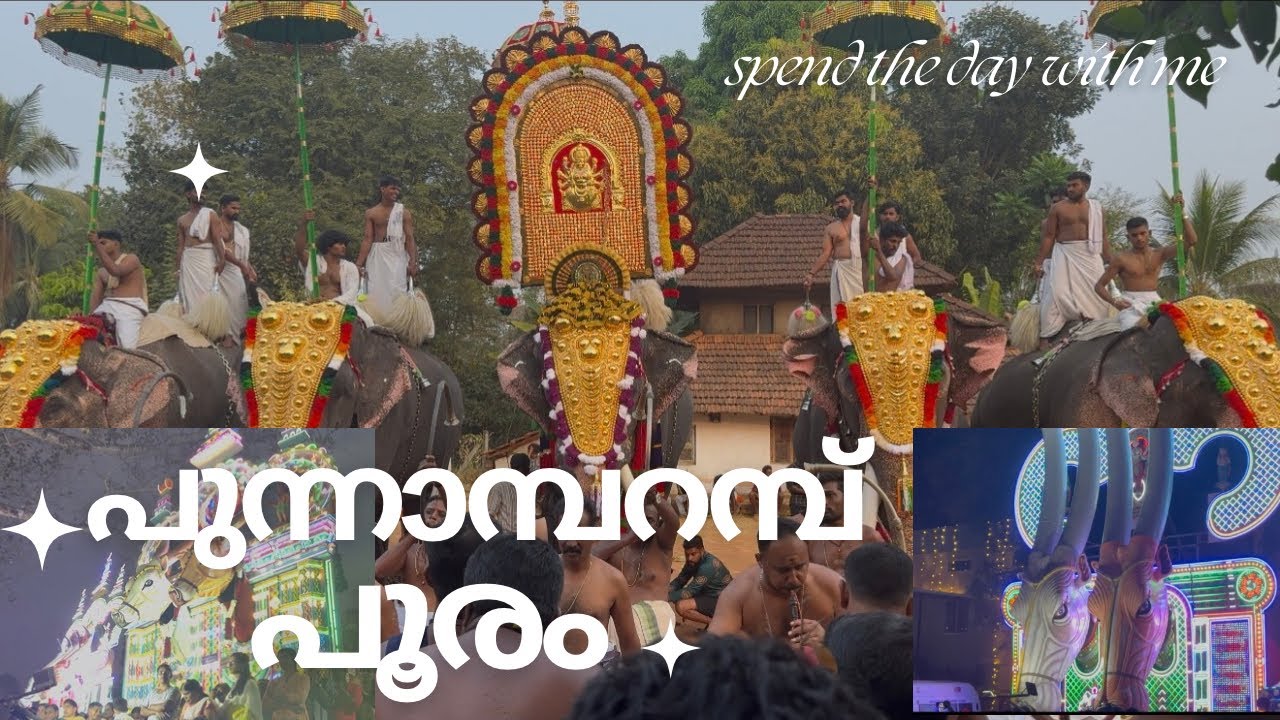 പുന്നാമ്പറമ്പ് പൂരം സുമ്മാ 🔥ആയിരുന്നു #jagapogawithreshmi #festival #youtube #video #pooram2026 
