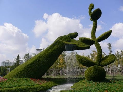 Video: Peyzaj Tasarımında Topiary Sanatı