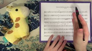 J.S. Bach, BWV 421, "Warum betrübst du dich, mein Herz," Analysis