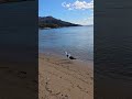 The good life, Tasmania #tasmania #beautifuldestinations #travel #explore #roadtrip #travelling #sun