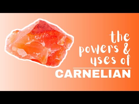 Video: Cách Mặc Carnelian