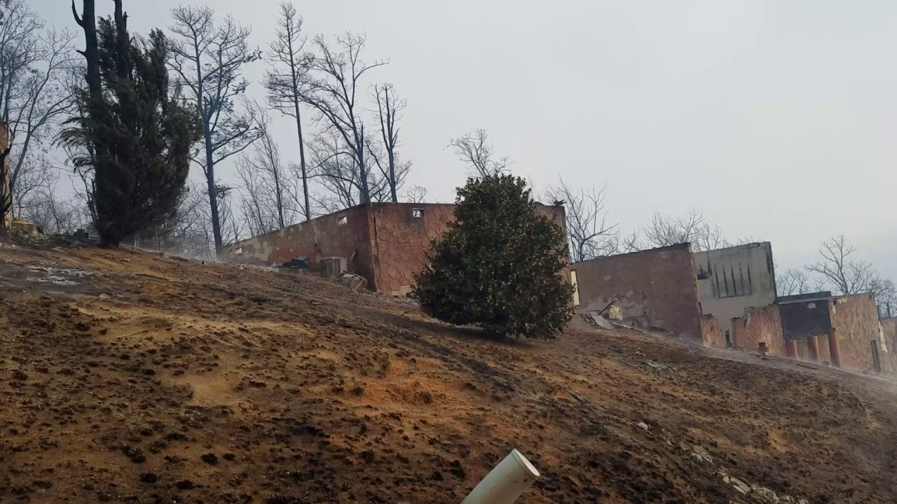 Cabins destroyed by fire in Pigeon YouTube