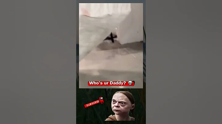 You'll NEVER Guess Whose CURTAIN That Is! #memes #shorts