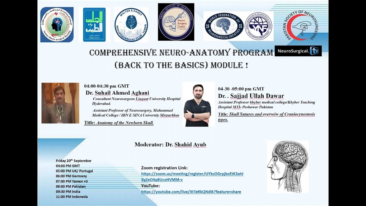 Neuroanatomy Course Module 1 - YouTube