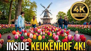 Inside Keukenhof 4K 🌷 | The Most Beautiful Flower Garden in the Netherlands