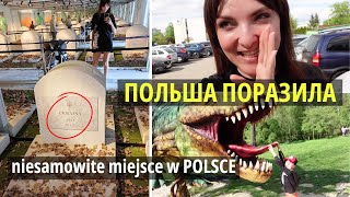 Польша меня поразила💛 Niesamowite miejsce w POLSCE/Życie w Polsce/Польша Влог/Poland Vlog