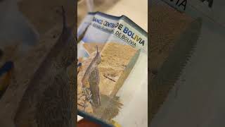 PUYA RAIMONDI EN BILLETE BOLIVIANO #bolivia #peru #trujilloperu #lima