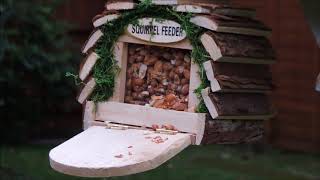 This is a road test for this Squirrel Feeder, I was a little disappointed by the wooden flap that the Squirrel would sit on because it did 