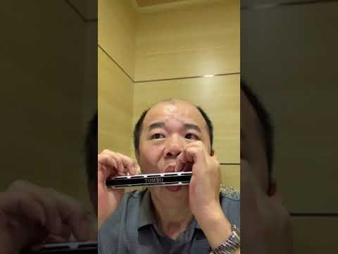 口琴-上海灘
