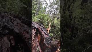 The Reason For Our Knyo Save Our Station Antenna Fund.