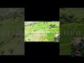 Mystical Hmong Bamboo Flute 🌿 Healing Mountain Spirit | Soul of the East