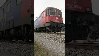 re 6/6 sbb train 4WD 12x12 #switzerland #train #shorts #shortvideo #railway #viral