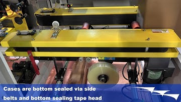 319 - CE-CEB - Automatic Case Erector and Bottom Sealer