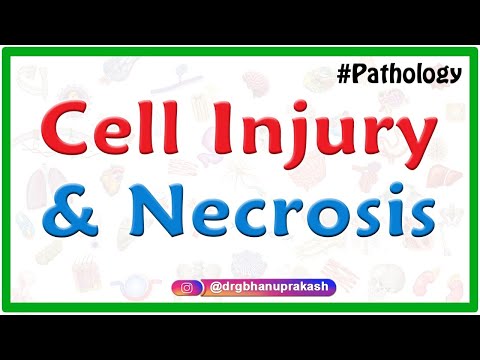 Cell injury and necrosis : General Pathology