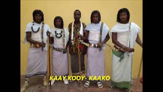 Download Lagu Hassan Pilot Gada Qali MP3 Hassan Pilot Gada Qali