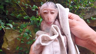 Baby Monkey Done Washing Washing