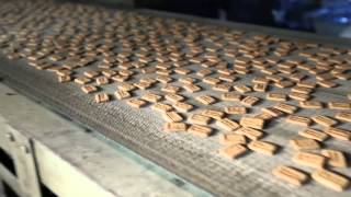 Global Energy Food Industries.