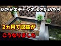 めだかのチャンネルを始めたら2ヵ月で収益がこうなりました