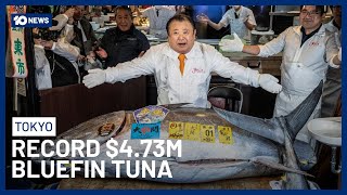 Record-Breaking Bluefin Tuna Sells For $4.73 Million at Tokyo’s New Year Auction | 10 News