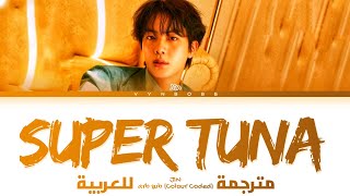 BTS JIN - 'SUPER TUNA' arabic sub (مترجمة للعربية)