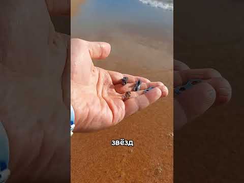 Как выбрать замок