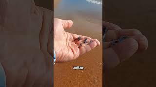 Как выбрать замок цепи велосипеда / Замок цепи какой