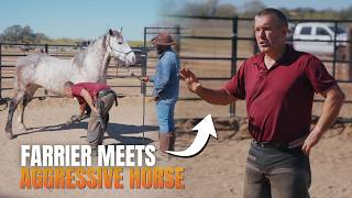 How We Safely Trimmed a Horse That Used to Attack People