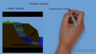 Solving Eutrophication
