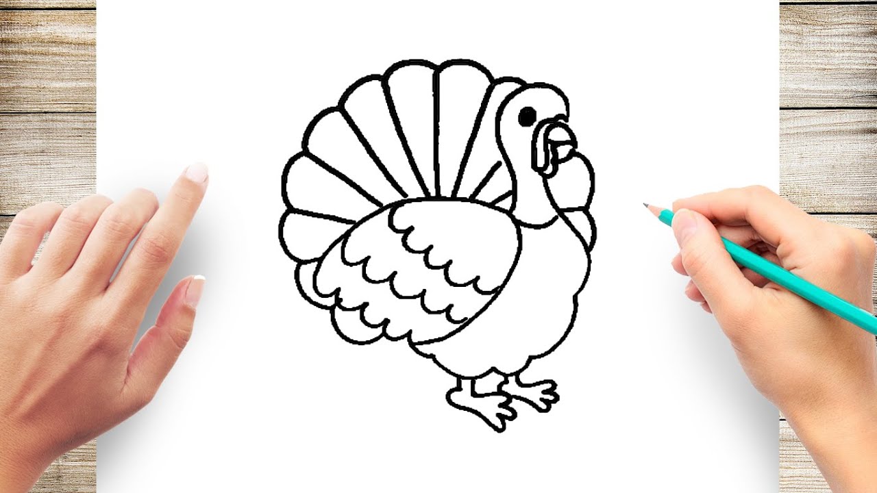 How to Draw Turkey Step by Step for Kids Easy YouTube