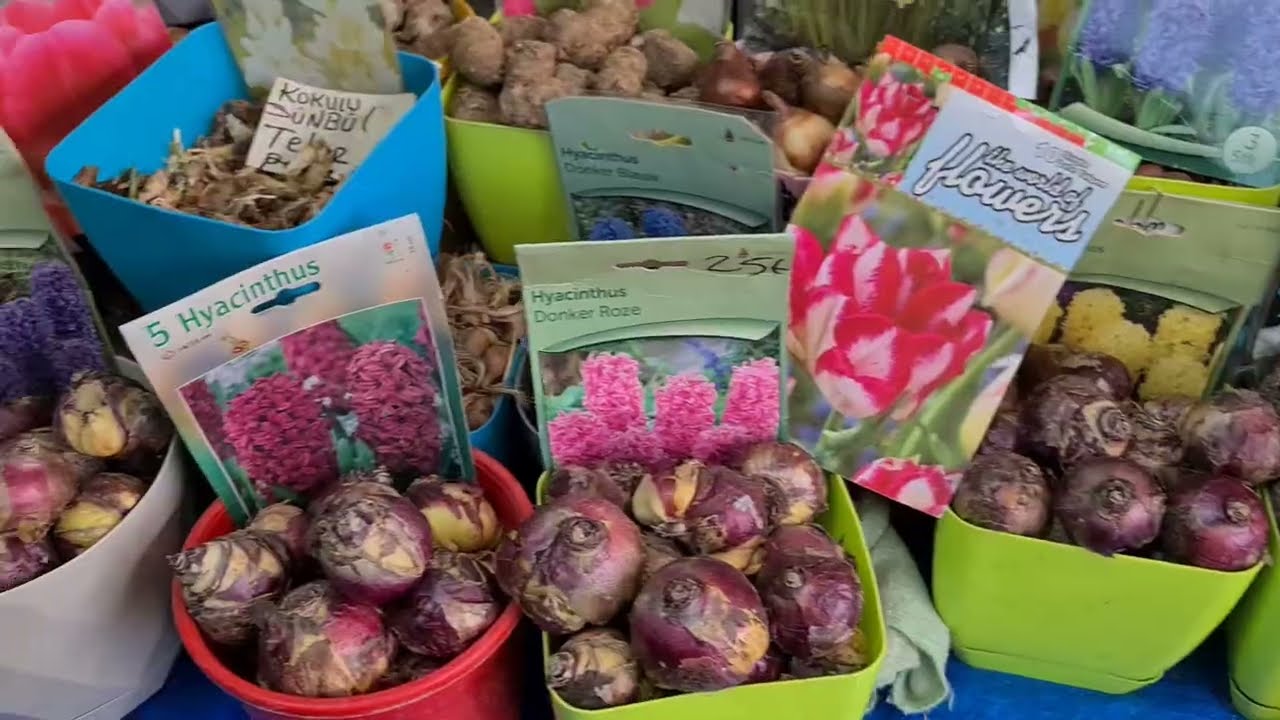 Eminönü Çiçekçiler Çarşısında Çiçekler, Tohumlar ve Çiçek Soğanları