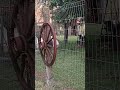Vamos aproveitar ar fresco do campo.