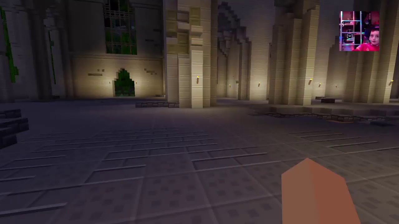 weekane's Live PS4 Broadcast