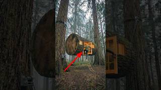 Giant Tree Log Transformed Into a Hidden Luxury Home 🪵 #amazingtransformation #tinyhouse #tinyliv