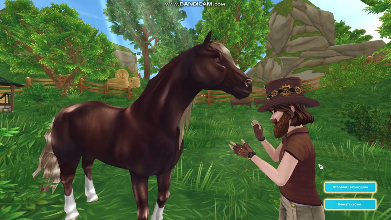 ПОКУПКА ШАЙРА И ФРИЗА 2 ПОКОЛЕНИЯ