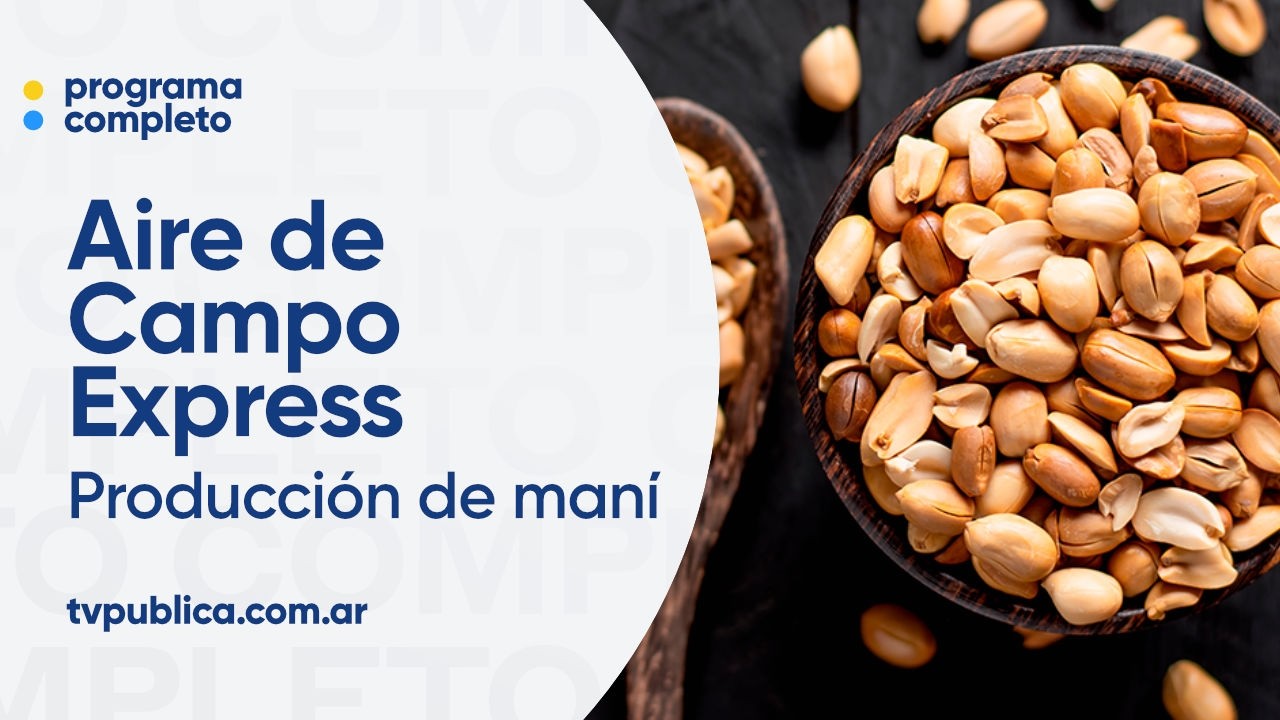 Córdoba: tierra emblema del maní y sus derivados - Aire De Campo ...