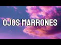 Lasso - Ojos Marrones (Letra_Lyrics)