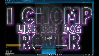 Rhythm plus dog day song played