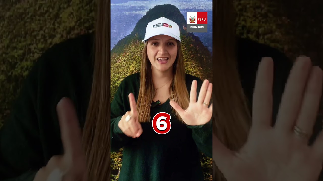 ¿Cómo prevenir los incendios forestales que afectan la vida y los ecosistemas?