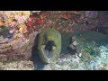 Scuba Diving with Ocean Encounters, Curacao, September 2017