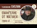 Евангелие от Матфея. Глава 12. Протоиерей Олег Стеняев. Толкование Библии. Толкование Нового Завета