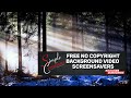 Free no copyright winter forest snowing sunrise with emotional melodic piano mikeoutlandmusic