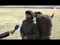 В Карачаево-Черкесии начался массовый окот овец